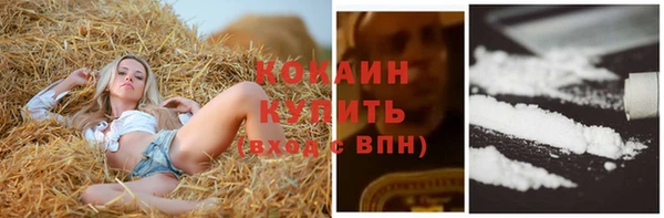 мяу мяу мука Новозыбков