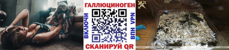 OMG ссылки  Кулебаки  Псилоцибиновые грибы мицелий 